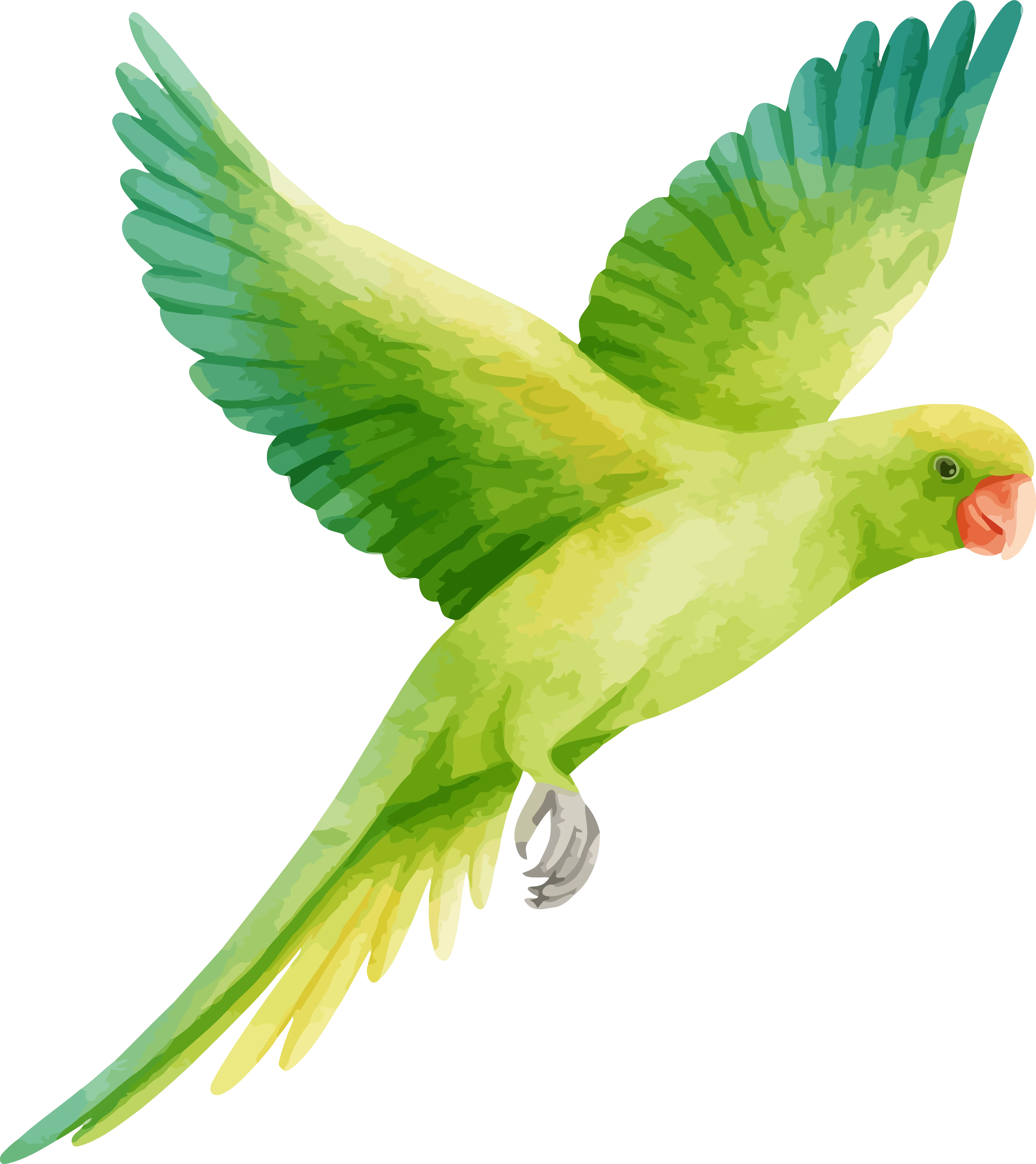 Fauna de la región